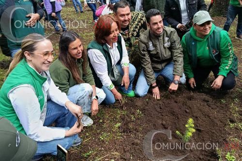 Videos: Mega reforestación en Ocoyoacac; ayuntamiento y gobierno estatal se unen en pro del bosque
